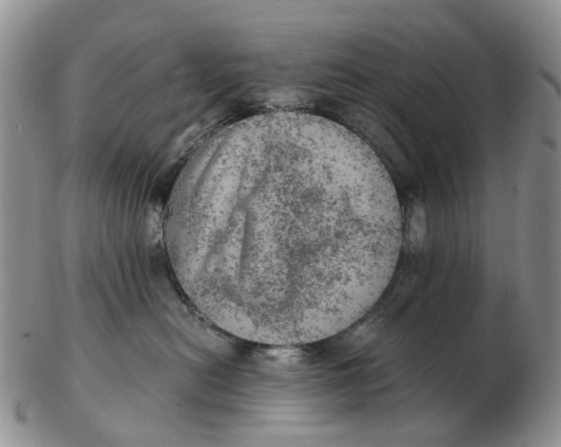 X0000103160478200809121842