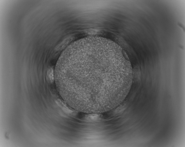 X0000103160479200809121842