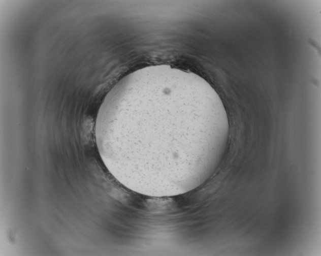 X0000103160480200809121842