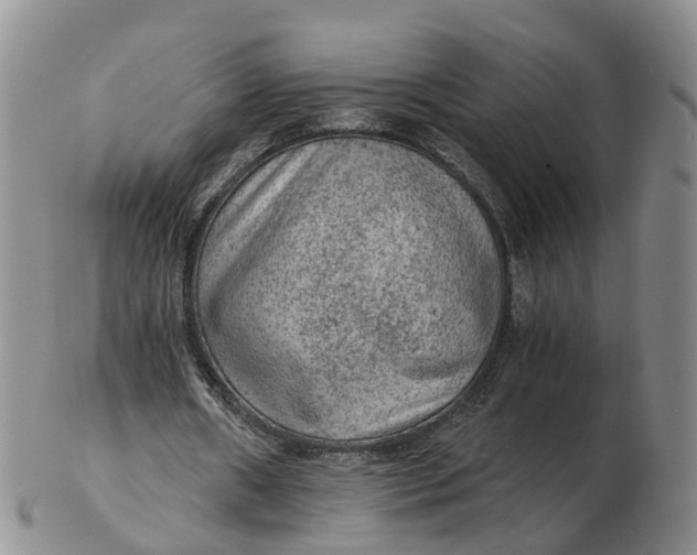 X0000103160482200809121841