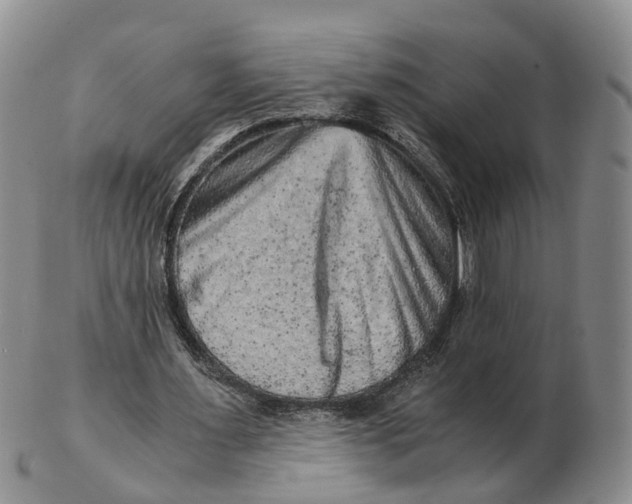 X0000103160483200809121841