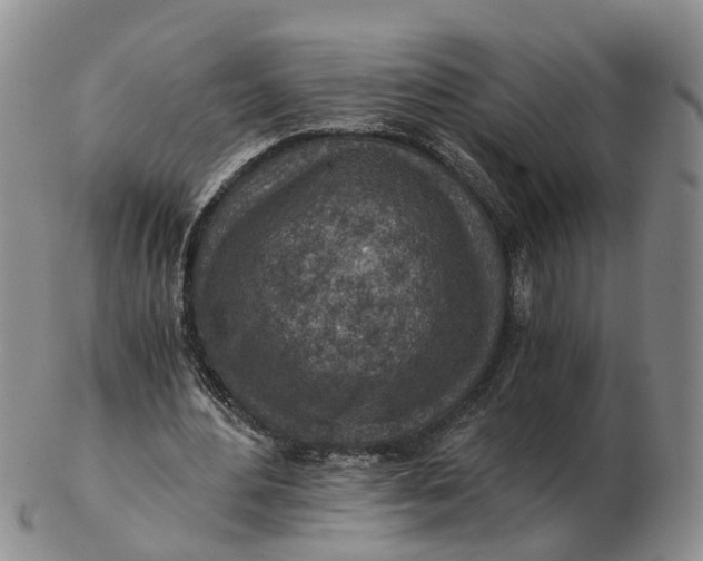 X0000103160484200809121841