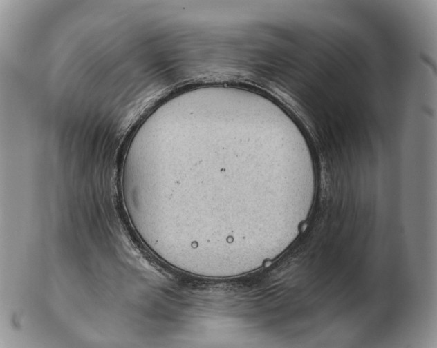 X0000103160485200809121841