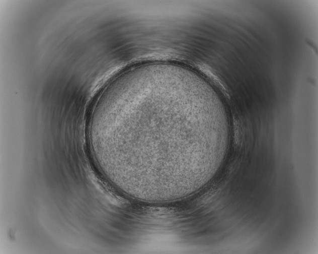 X0000103160486200809121841