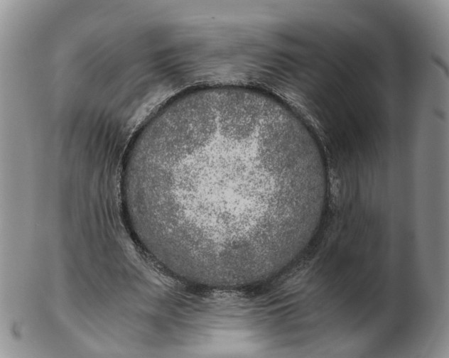 X0000103160487200809121841