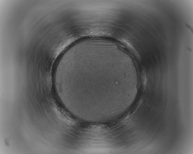 X0000103160488200809121841