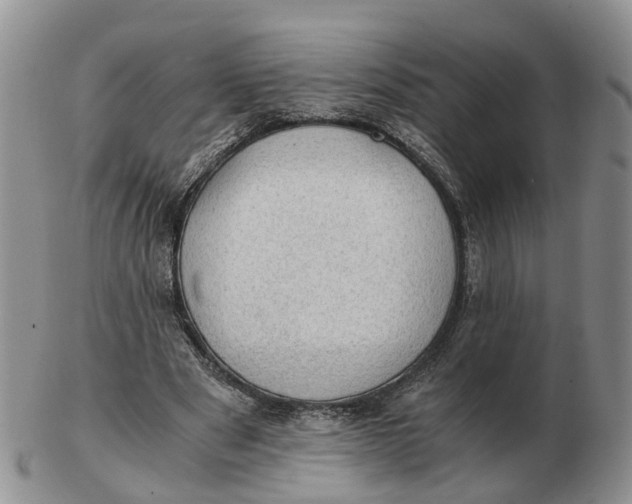 X0000103160489200809121841