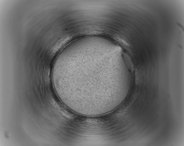 X0000103160490200809121841