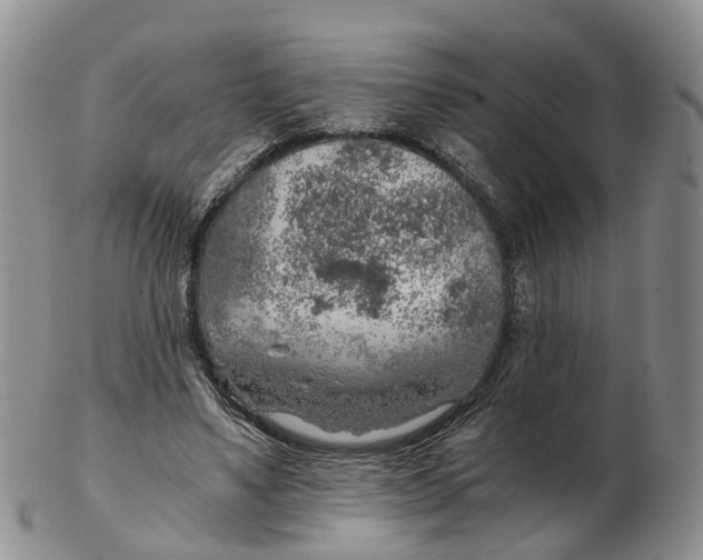 X0000103160491200809121841