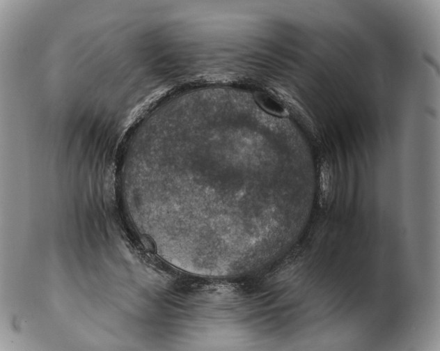 X0000103160492200809121841