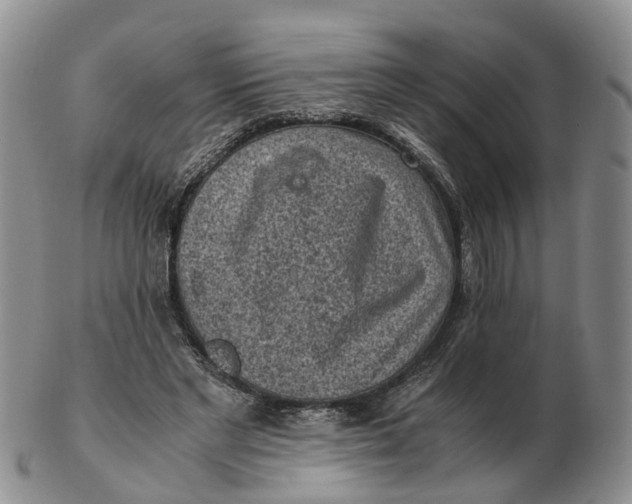 X0000103160493200809121841