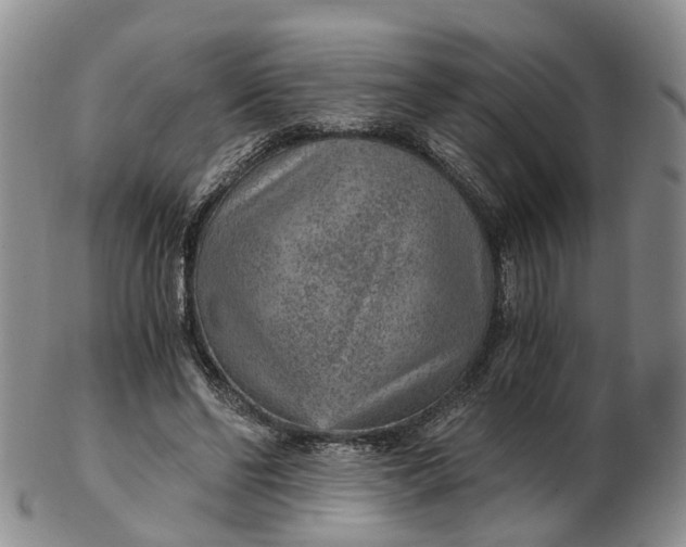 X0000103160494200809121841