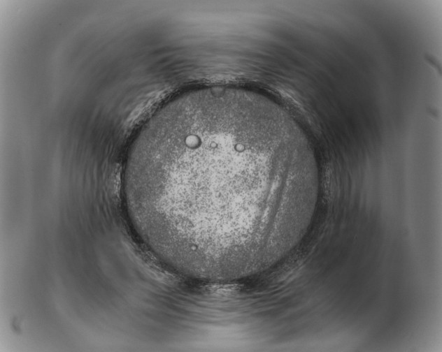 X0000103160495200809121841