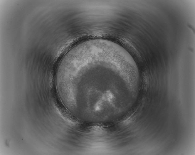 X0000103160496200809121841