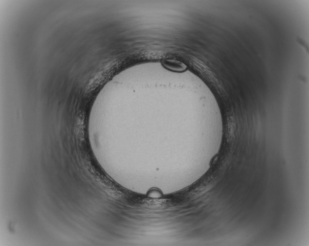 X0000103160497200809121841