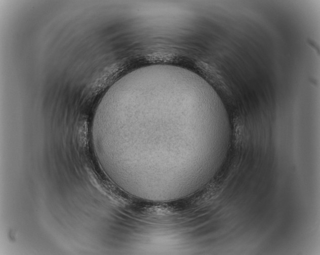 X0000103160498200809121841