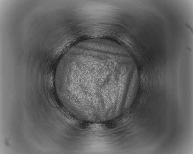 X0000103160499200809121841