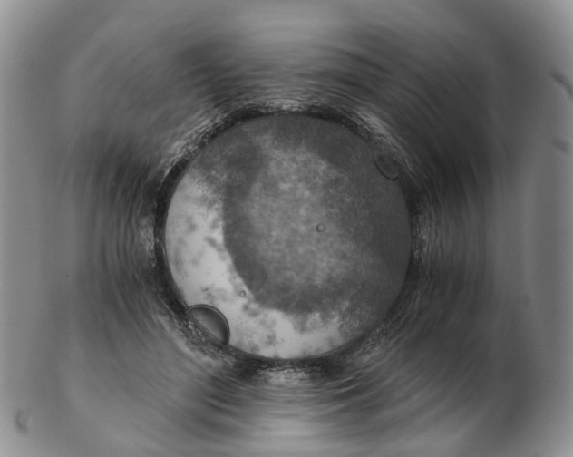 X0000103160500200809121841