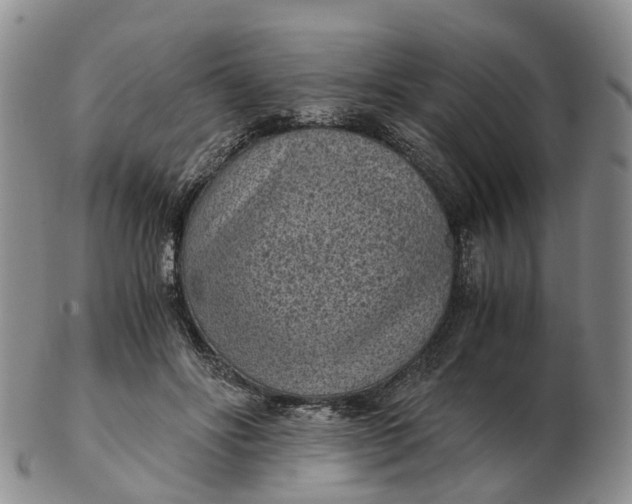 X0000103160502200809121841