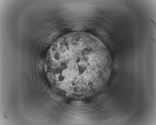 X0000103160503200809121841