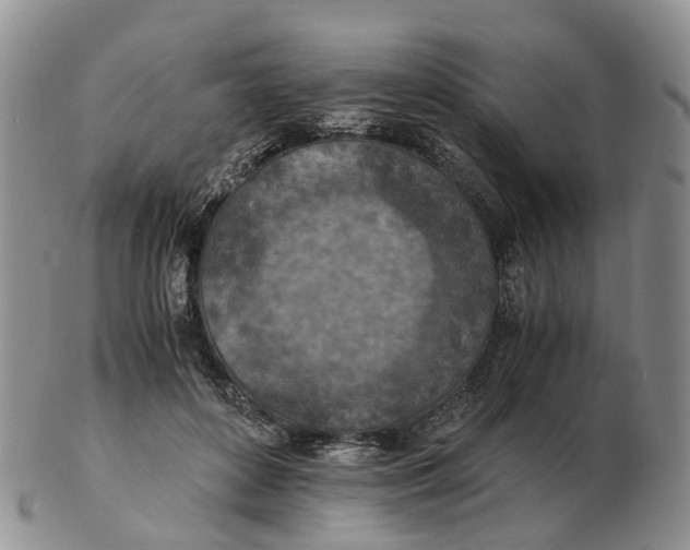 X0000103160504200809121841