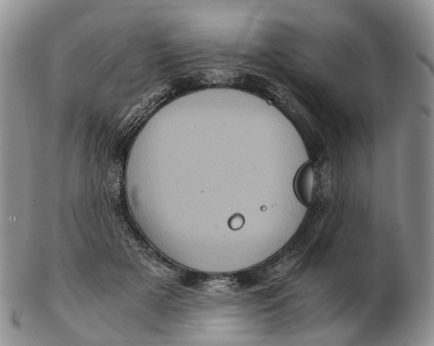 X0000103160505200809121841