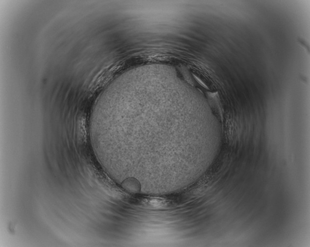 X0000103160506200809121841