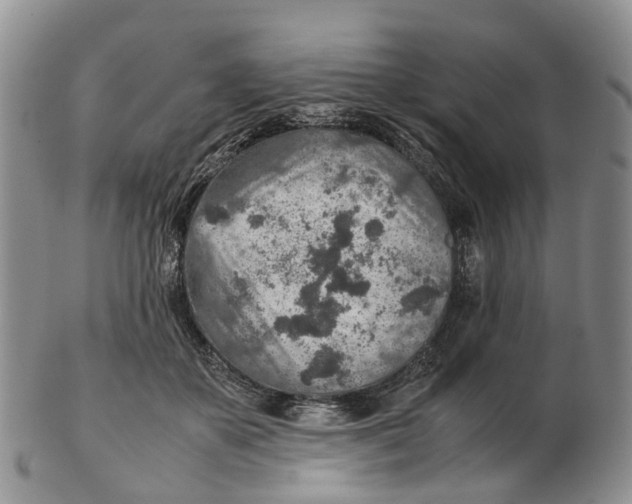 X0000103160507200809121841