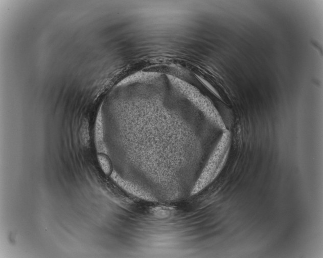 X0000103160508200809121841