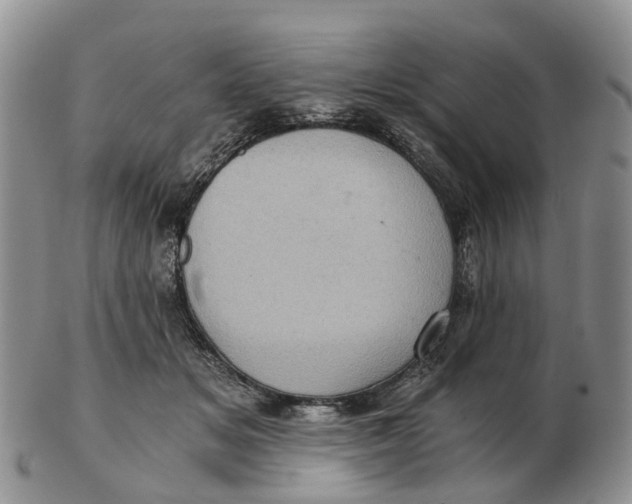 X0000103160509200809121841