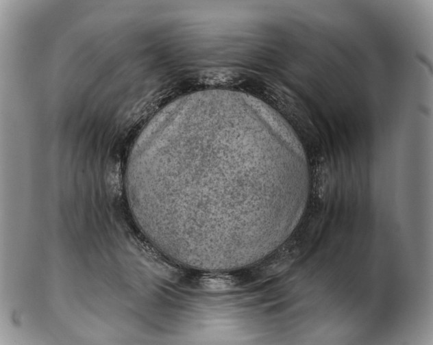 X0000103160510200809121841