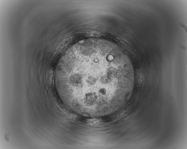 X0000103160511200809121841