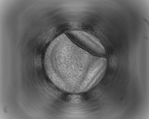 X0000103160512200809121841