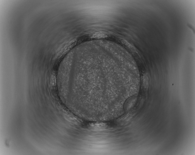 X0000103160517200809121841