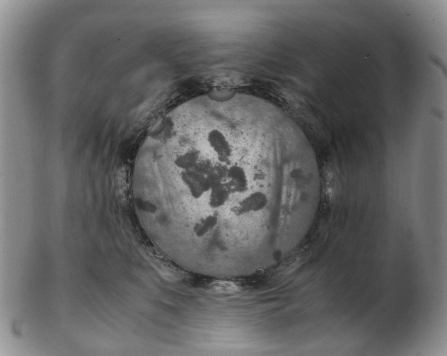 X0000103160519200809121841