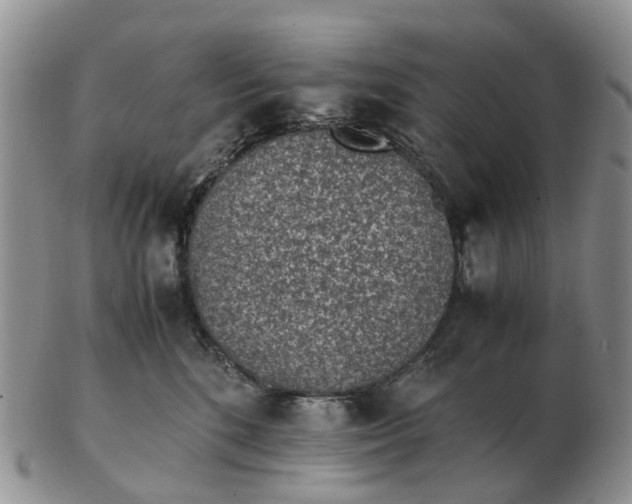 X0000103160520200809121841