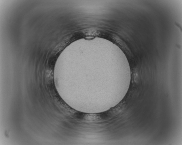 X0000103160521200809121841