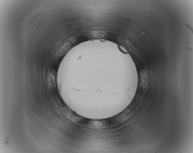 X0000103160522200809121841