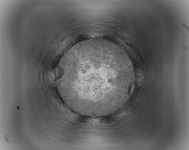 X0000103160523200809121841