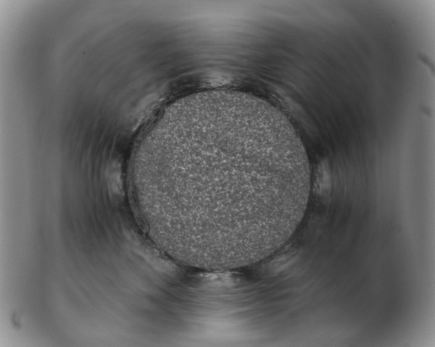 X0000103160524200809121841