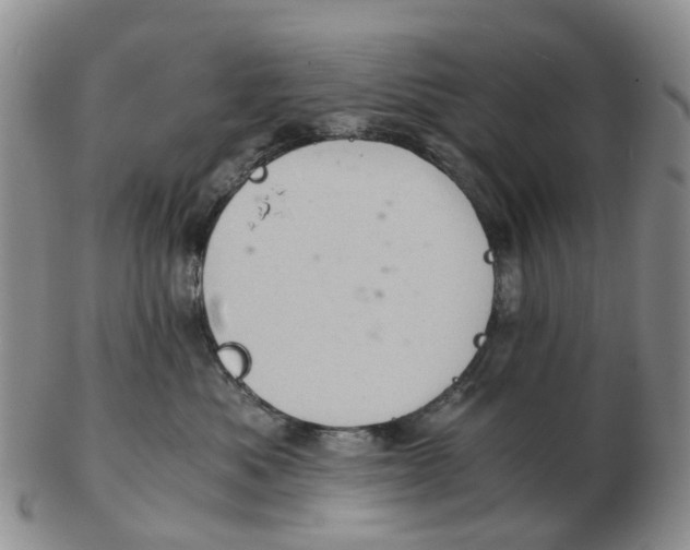 X0000103160525200809121840