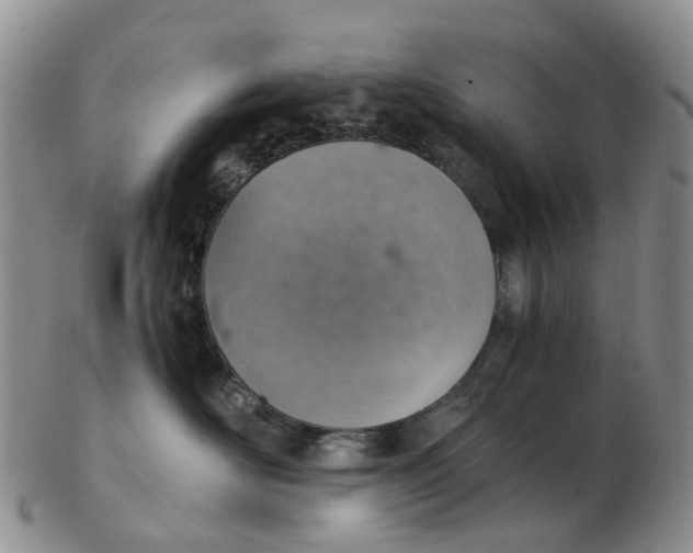 X0000103160526200809121840