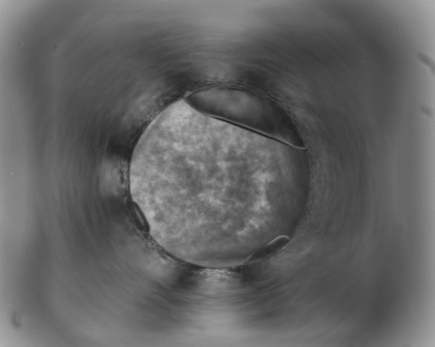 X0000103160528200809121840