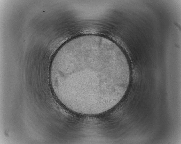 X0000103160529200809121840