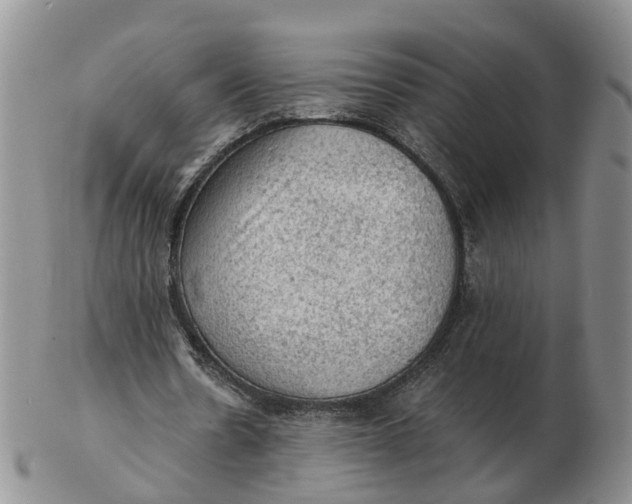 X0000103160530200809121840