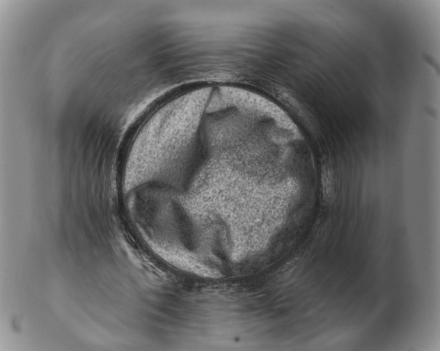 X0000103160532200809121840