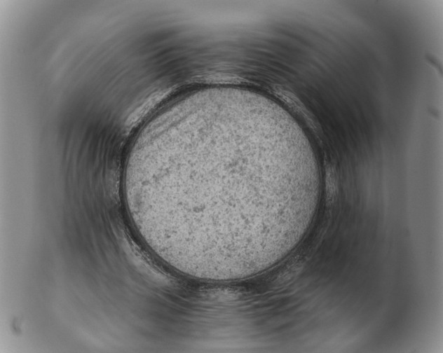 X0000103160533200809121840