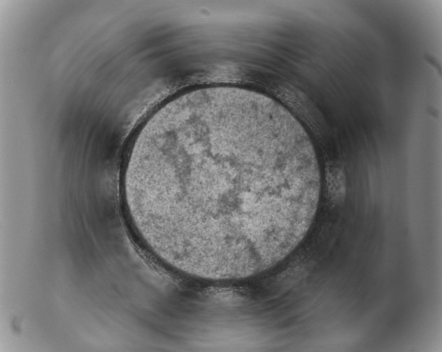 X0000103160534200809121840