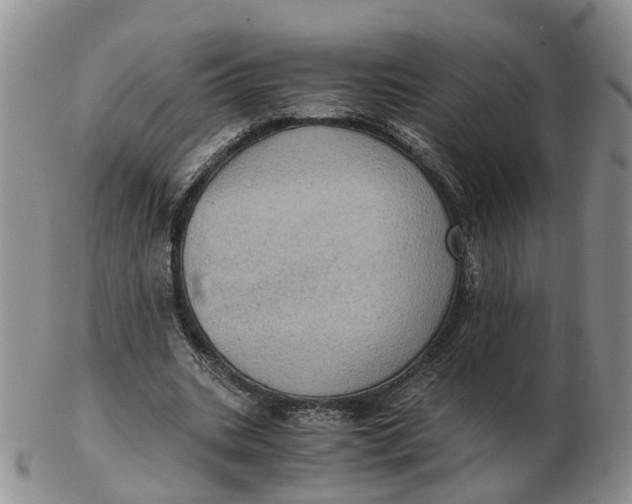 X0000103160535200809121840