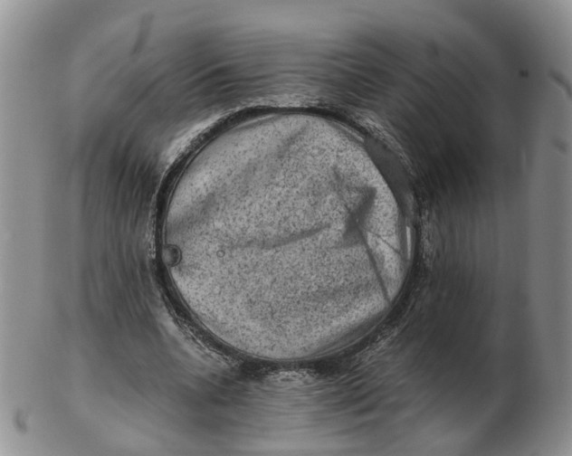 X0000103160536200809121840